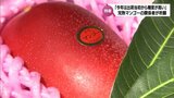 完熟マンゴーの安定した出荷と販売を　生産者など関係者が宮崎神宮で祈願祭　「今季は出荷当初から糖度が高く品質も上々」　|　MRTニュース ｜ ＭＲＴ宮崎放送