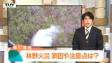 あっという間に燃え広がり... 今の時期多く発生する林野火災　防止するには？ 火災の原因は？ 水を準備しても野焼きは危険！（山形）　|　山形のニュース│TUYテレビユー山形