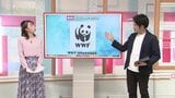 パンダのマークは地球環境や生き物守る活動!子どももわかる「発見!SDGsチャンス」 富山 | 富山のニュース|天気・防災|チューリップテレビ