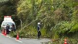 また倒木で国道206号が通行規制　最大2キロ渋滞、強風の影響か【長崎】　|　長崎のニュース | 天気 | NBC長崎放送