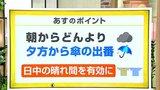 高知の天気 16日 朝から雲が広がり夜は広い範囲で雨 山岸拓気象予報士が解説 | 高知のニュース・天気|KUTV NEWS | KUTVテレビ高知