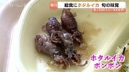 「家ではあまり食べないけど…」ホタルイカボンボン1万3000匹が給食に！地元食材をバター醤油で堪能、食育の現場にも　富山・滑川市　|　富山のニュース｜天気・防災｜チューリップテレビ