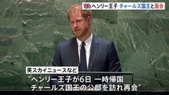 イギリス・ヘンリー王子ロンドンに到着　公邸でチャールズ国王と面会　現地メディア報じる| TBS CROSS DIG with Bloomberg