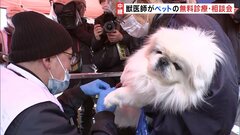 「ペットの不安は、避難所にいる人の不安」輪島市でペットの無料健康相談会　能登半島地震| TBS CROSS DIG with Bloomberg