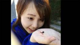 若き生物学者が挑むアリの謎「頭が痛くなりながら考えた」アリはなぜ液体を “つかんで” 運ぶのか? |TBS NEWS DIG