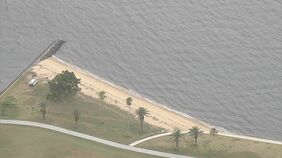 「太ももから下の足が落ちていた」福岡市の海岸で長さ約67センチの人の右足が見つかる　砂浜に打ち上げられた状態|TBS NEWS DIG