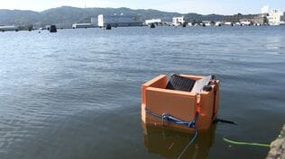 南海トラフ地震の津波を"より早く"検知へ 10万円のローコスト「GPS波浪計」開発進む=静岡【わたしの防災】 　|　静岡のニュース | SBSNEWS | 静岡放送