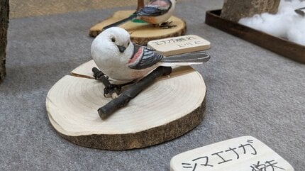 精巧な木彫り作品から野鳥の愛らしさや息づかいが伝わる バード