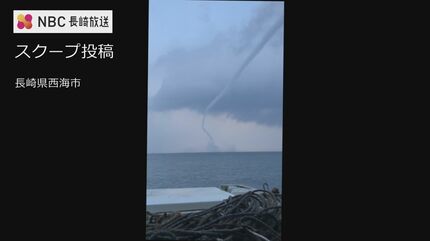 img_cd6c5dc710225b322818eacd2d