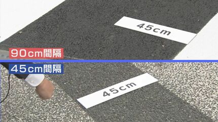 この横断歩道・・・よくみると「白線の間隔が通常より広い」 新ルール