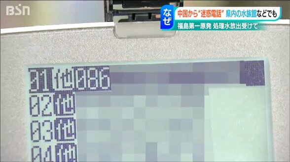 「日本語がご理解いただけないようだった」“中国”の国番号から『迷惑電話』取材中も… 水族館や遊園地にまで|TBS NEWS DIG