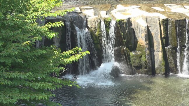 清流・桂川が流れ落ち　四季折々に表情を変える　芭蕉も詠んだ名勝　都留市・田原の滝|TBS NEWS DIG