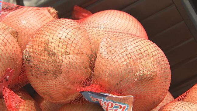 タマネギ2倍、ジャガイモ1.7倍…猛暑が秋の定番メニュー「シチュー」直撃…夏の北海道の生育状況が影響|TBS NEWS DIG