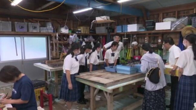 地元の高校生が真珠の仕組み学ぶ見学会 愛媛・宇和島|TBS NEWS DIG