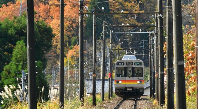 落ち葉で電車が登れない?“空転”で急勾配登れず最大20分の遅れ 紅葉シーズンの難敵「黒い被膜」 富山地方鉄道立山線で珍事|TBS NEWS DIG