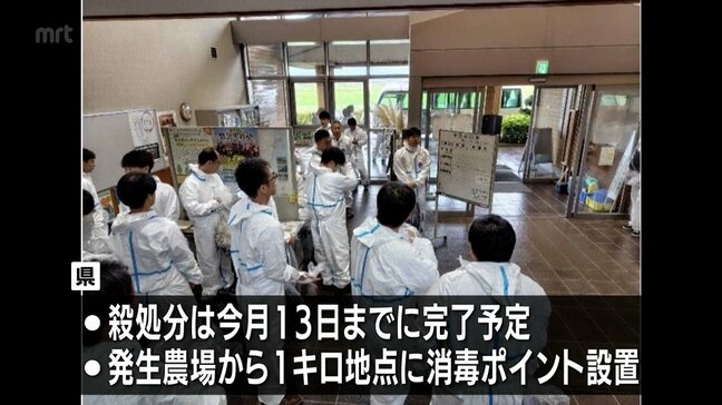 都城市の養豚場の「豚熱」 ウイルスは「野外由来」と判明 約5500頭の殺処分開始|TBS NEWS DIG