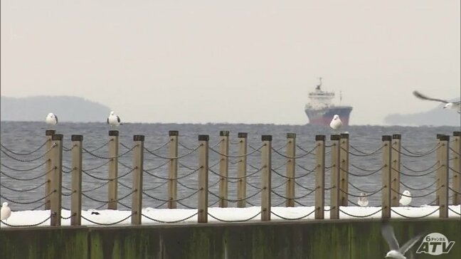 津軽5市町に波浪警報　津軽と三八上北の山沿いで11日夜から警報級大雪の恐れ　JR在来線の運転見合わせやフェリー欠航も　青森県|TBS NEWS DIG