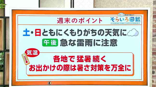 高知の天気 土日は雲の多い空模様に 猛暑は続く 東杜和気象予報士が解説|TBS NEWS DIG