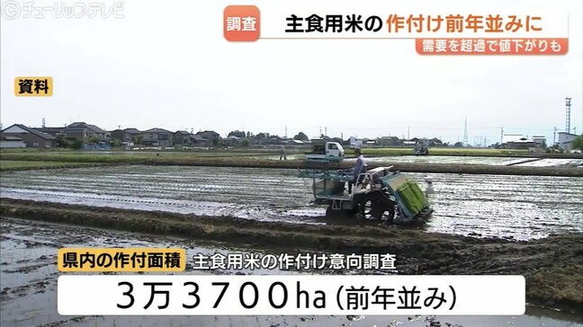 今年の主食用米の作付面積は前年並み3万3700ha【富山県】コメ価格高値で生産続くも、全国では需要を22万トン上回る生産過剰の見通しに|TBS NEWS DIG