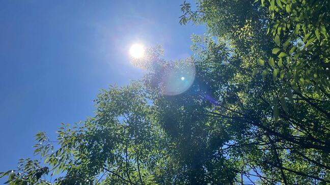 【速報】甲府で今年初の猛暑日 すでに36.3度 【午後0時21分現在】|TBS NEWS DIG