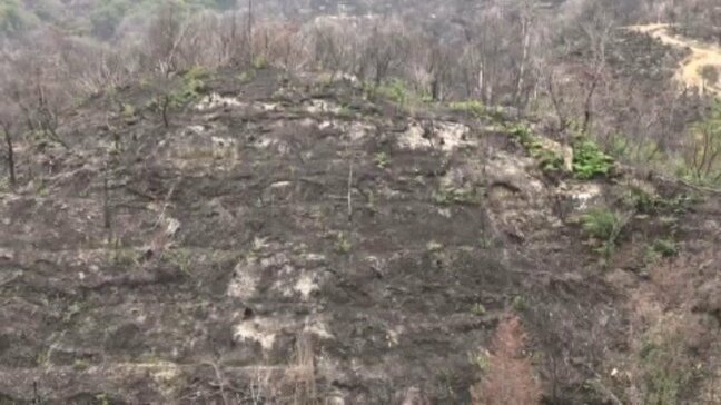 「土砂流出の防止、2次被害の防止を緊急的に」林野火災で緊急治山工事 愛媛県・今治市|TBS NEWS DIG