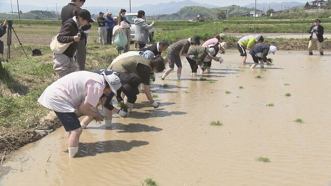 全国の「まゆみさん」が超早場米「まゆみ姫」を植える！　福島・本宮市|TBS NEWS DIG