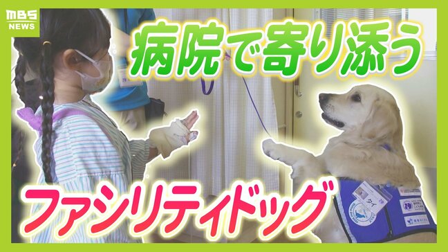 「注射のとき勇気を分けてくれる」闘病中の子どもに寄り添う犬『ファシリティドッグ』 普及進まない背景に多額の費用...兵庫の病院は寄付募り“関西初導入”目指す|TBS NEWS DIG