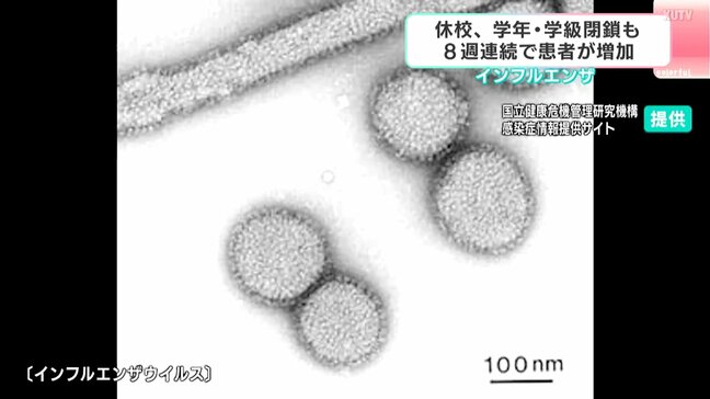 猛威を振るうインフルエンザの変異株「サブクレードK」　今年の傾向と対策は？|TBS NEWS DIG