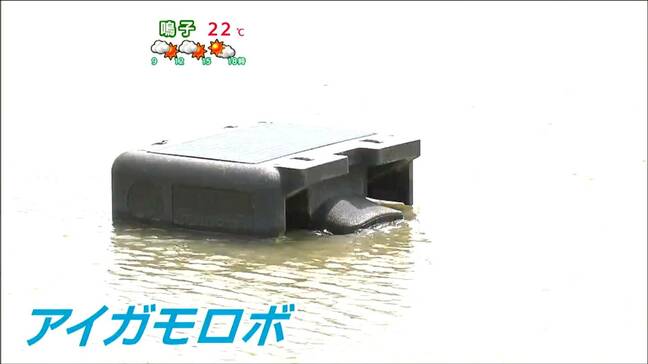 スマート農業・強力助っ人「新型アイガモロボ」で雑草対策 有機農業を普及促進 宮城・大崎市|TBS NEWS DIG