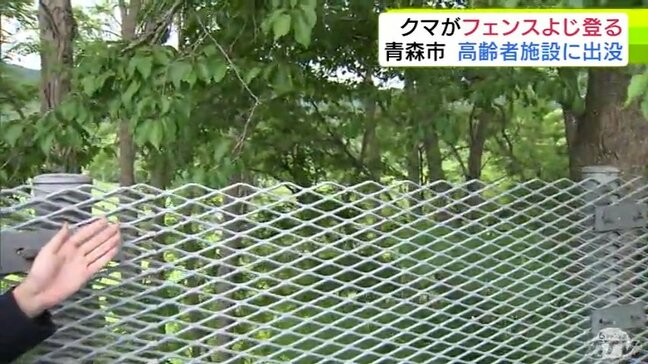 クマはフェンスをよじ登って敷地外に… 高齢者施設で体長70cmほどのクマの目撃情報 「やっぱり怖い」付近住民からは不安の声 近くでは4日にも目撃情報が 青森市|TBS NEWS DIG