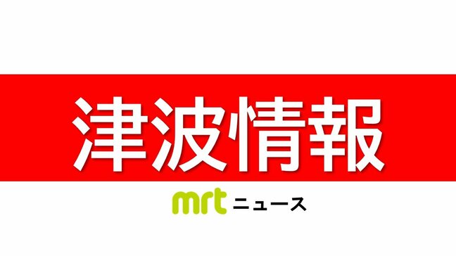 油津40cm 宮崎港30cm 細島20cm　宮崎県内でも津波を観測(30日午後5時28分現在)|TBS NEWS DIG