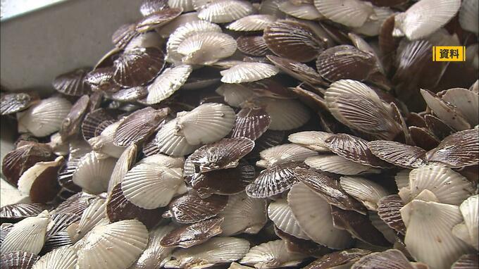 原発処理水放出めぐる中国の禁輸措置に対応「ホタテ総合戦略チーム」前倒しで9月中に設置へ　宮下宗一郎青森県知事|TBS NEWS DIG