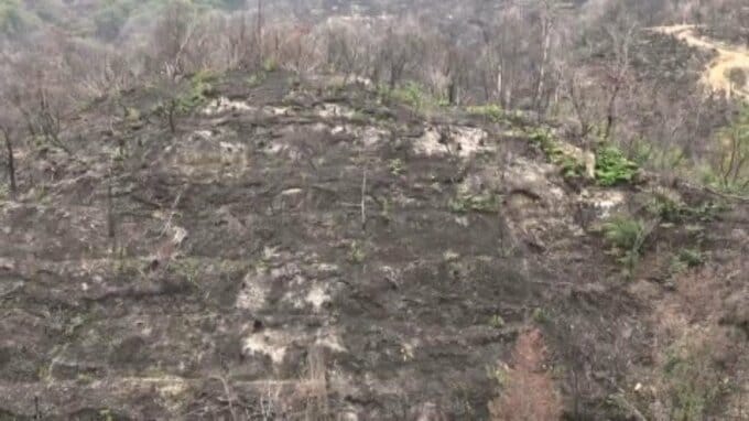 「土砂流出の防止、2次被害の防止を緊急的に」林野火災で緊急治山工事 愛媛県・今治市|TBS NEWS DIG