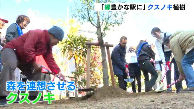 「緑豊かな高知駅に」ボランティア団体が“クスノキ”を植樹　|　高知のニュース・天気｜KUTV NEWS | KUTVテレビ高知