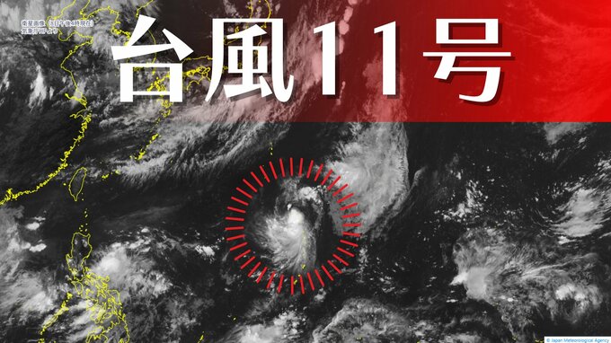 【台風情報  8日午後5時更新】「台風11号（ポードル）」　小笠原近海から今後西よりに進む予想進路　12日（水）午後には沖縄の南へ|TBS NEWS DIG