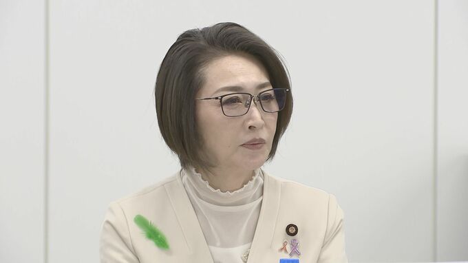 「日本版DBS」運用に向け制度の詳細を議論開始　対象となる事業や職種など|TBS NEWS DIG