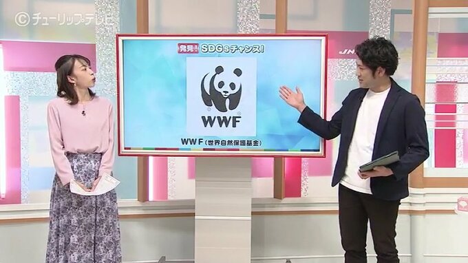 パンダのマークは地球環境や生き物守る活動！子どももわかる「発見！SDGsチャンス」　富山　|　富山のニュース｜天気・防災｜チューリップテレビ