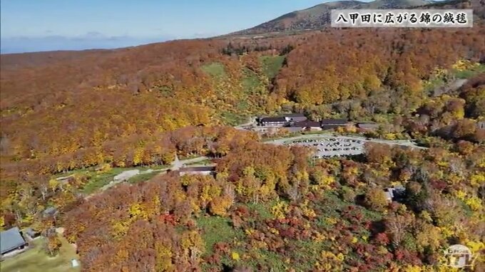 八甲田に「秋」言わずもがな絶景―|TBS NEWS DIG