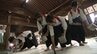 高校生が平和や被災地復興を祈り神社で書を披露　国連の「世界平和デー」に合わせて（岡山）　|　岡山・香川のニュース | 天気 | RSK山陽放送