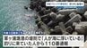 【死亡】午前2時ごろ家を出た男性　天草・ 軍ヶ浦漁港 で海に浮いた状態見つかる　熊本　|　熊本のニュース｜RKK NEWS｜RKK熊本放送