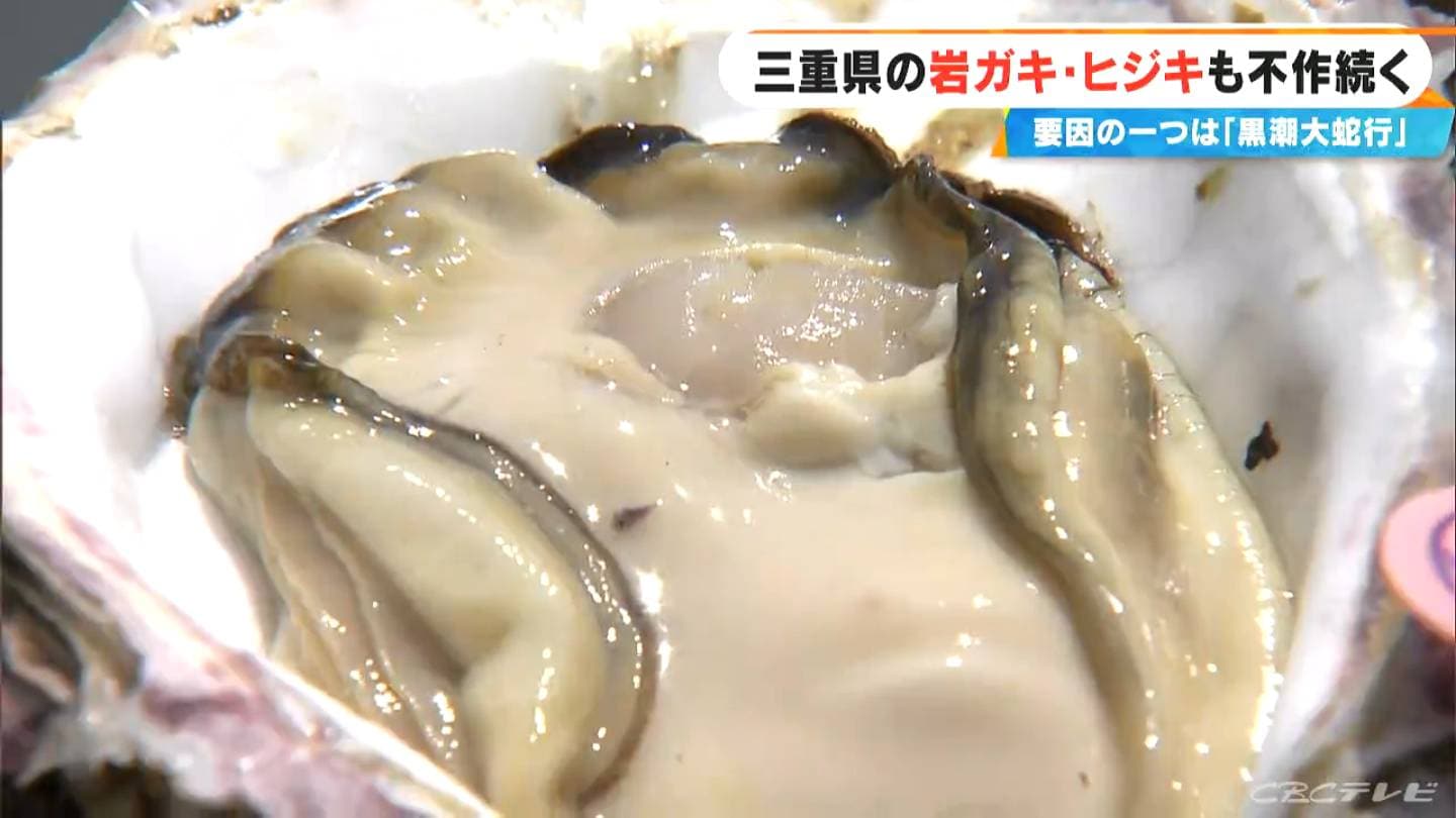 7年以上続いた｢黒潮大蛇行｣が終息する可能性 海水温の上昇で不作だった