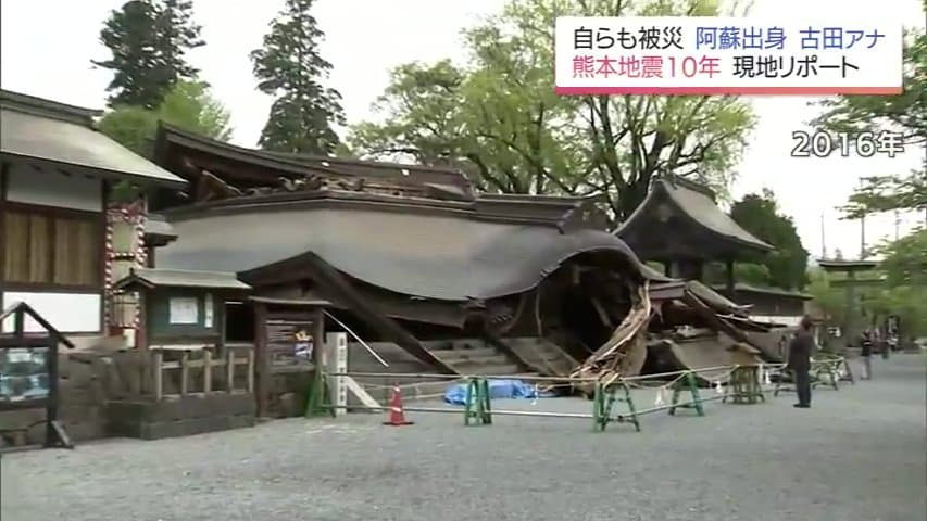 ※超特盛大量割引※最後まで読むとプレゼント　熊本県阿蘇産棘なしタラの根　400本 img_cebec88544b0ecb5204e75ad90