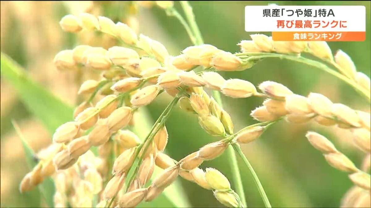 つや姫」最高峰の