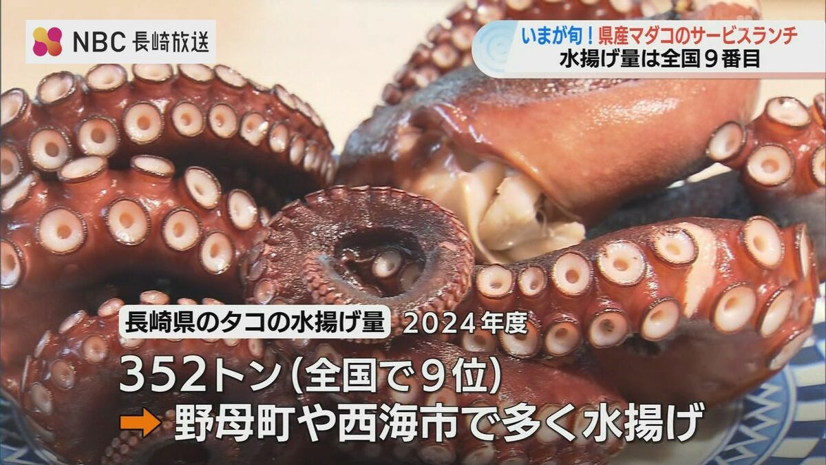 全国9位の水揚げ量を誇る長崎産タコを市役所で！「ゴージャス」な限定