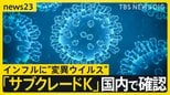 インフルエンザ“警報レベル”の急拡大　変異ウイルス「サブクレードＫ」国内で確認　ワクチン効果は？【news23】|TBS NEWS DIG