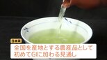 「日本茶」をGIに追加登録の見通し　海外の模倣品排除へ 抹茶ブームめぐる外国産との競争激化で|TBS NEWS DIG