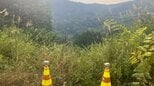 【続報】崖下に車が転落　死亡は山形市の会社役員の男性と判明　死因は高エネルギー外傷…国道をはみ出し200メートルにわたり転落か（山形・鶴岡市）　|　山形のニュース│TUYテレビユー山形