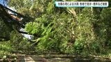 「すごい雨やった」台風6号・高知県から遠ざかるも…大雨・冠水・倒木などの被害|TBS NEWS DIG