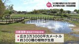 国の天然記念物「川南湿原」　今季の開園|TBS NEWS DIG