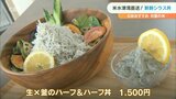 圧倒的ボリューム「シラス丼」 初夏におすすめの一品 大分・佐伯市 | 大分のニュース|OBS NEWS|大分放送